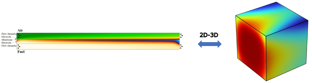 2D single cell model multiphysics